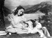 COURAGE OF LASSIE, Elizabeth Taylor, Lassie, 1946